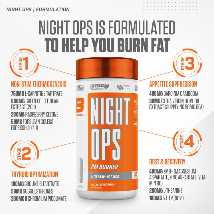Ballistic Labs Night Ops - Image 3
