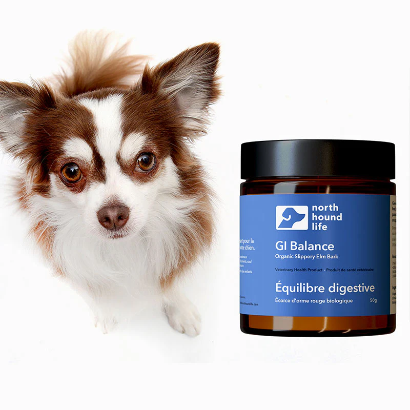 North Hound Life GI Balance - Image 4