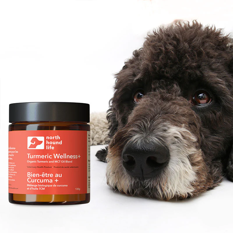 North Hound Life Turmeric Wellness + - Image 4